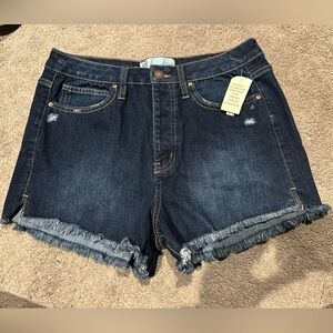 NWT RSQ Frayed Shorts Size 9
